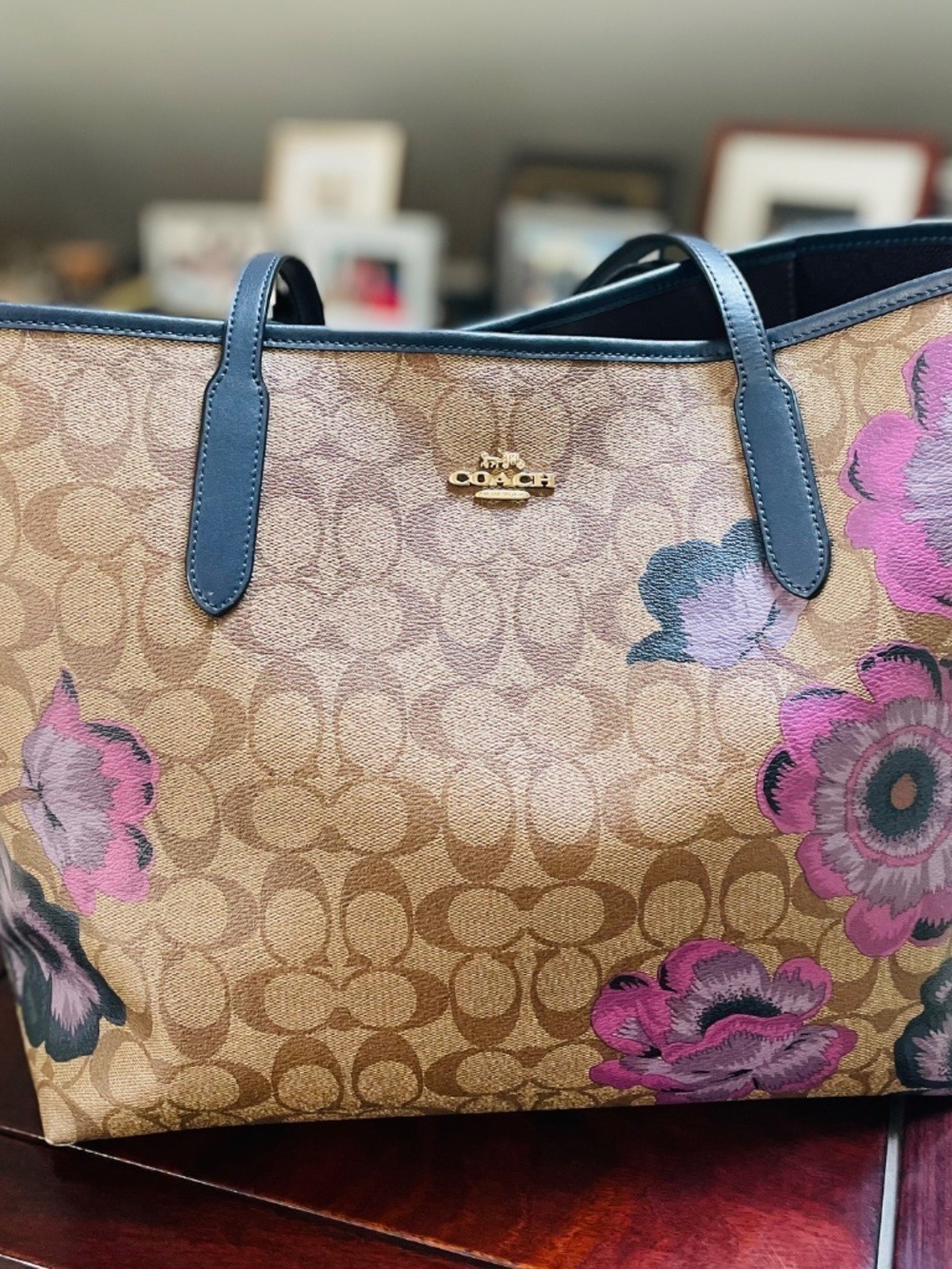 COLLECTIBLE Coach 5697 City Tote in Signature Canvas with Kaffe Fassett Print🌟